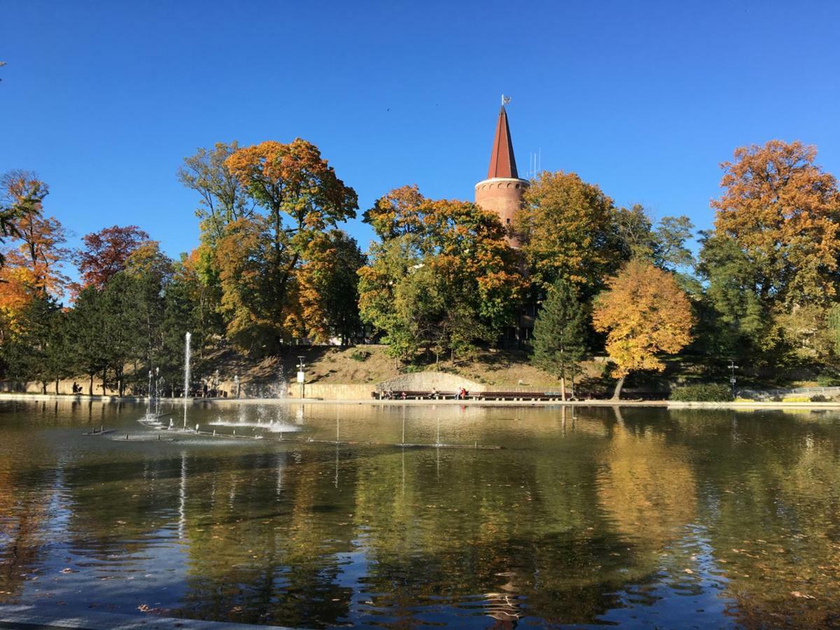 Apartament Na Wyspie Opole Buitenkant foto